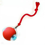 Automatic Interactive Dog Ball Toy – Rechargeable Smart Rolling Ball Averae