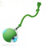 Automatic Interactive Dog Ball Toy – Rechargeable Smart Rolling Ball Averae