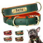 Personalized Leather Dog Collar with Nameplate – Soft & Adjustable Averae