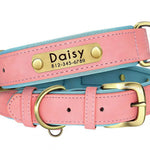 Personalized Leather Dog Collar with Nameplate – Soft & Adjustable Averae