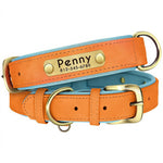 Personalized Leather Dog Collar with Nameplate – Soft & Adjustable Averae