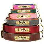 Personalized Leather Dog Collar with Nameplate – Soft & Adjustable Averae