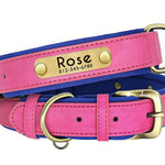 Personalized Leather Dog Collar with Nameplate – Soft & Adjustable Averae