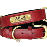 Personalized Leather Dog Collar with Nameplate – Soft & Adjustable Averae
